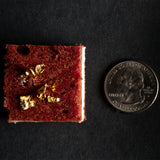 Opulent Blondie Box (24 Bite-Size Pieces)